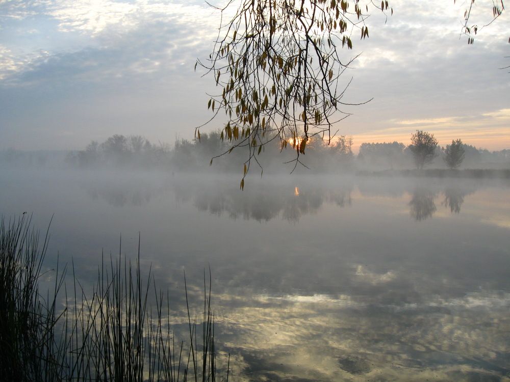 Photograph by Елена Гергель