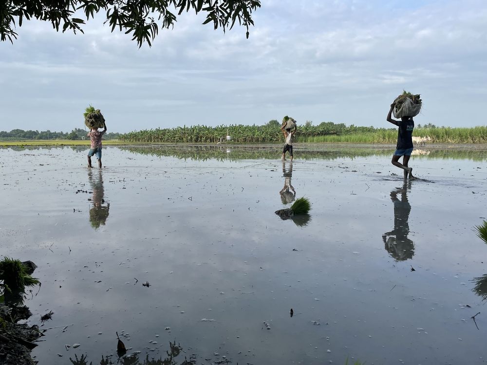 Photograph by Seenu Vasan