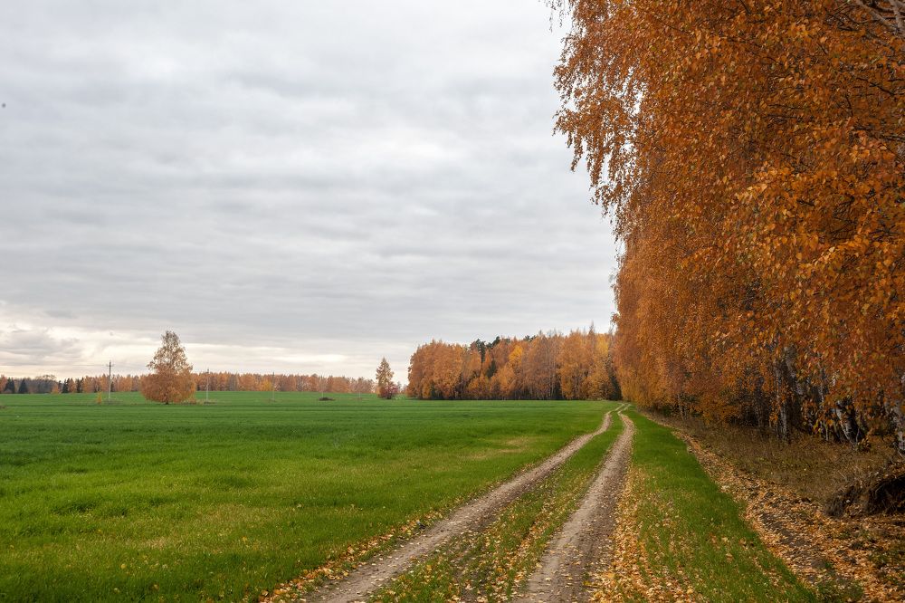 Сочная осень в Пижанском районе