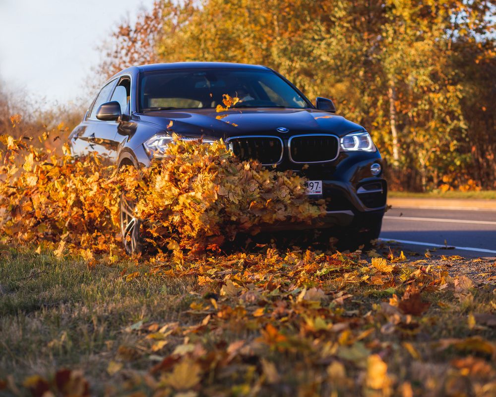 Photograph by Юлия Калугина