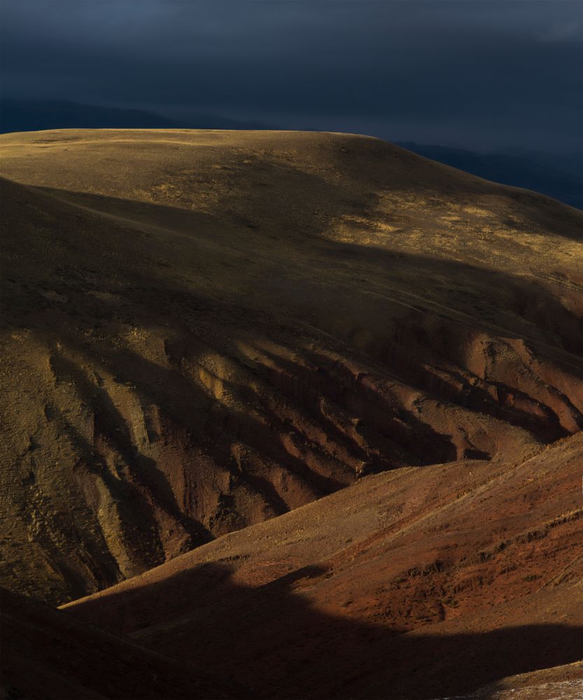 Photograph by Юлия Протасова