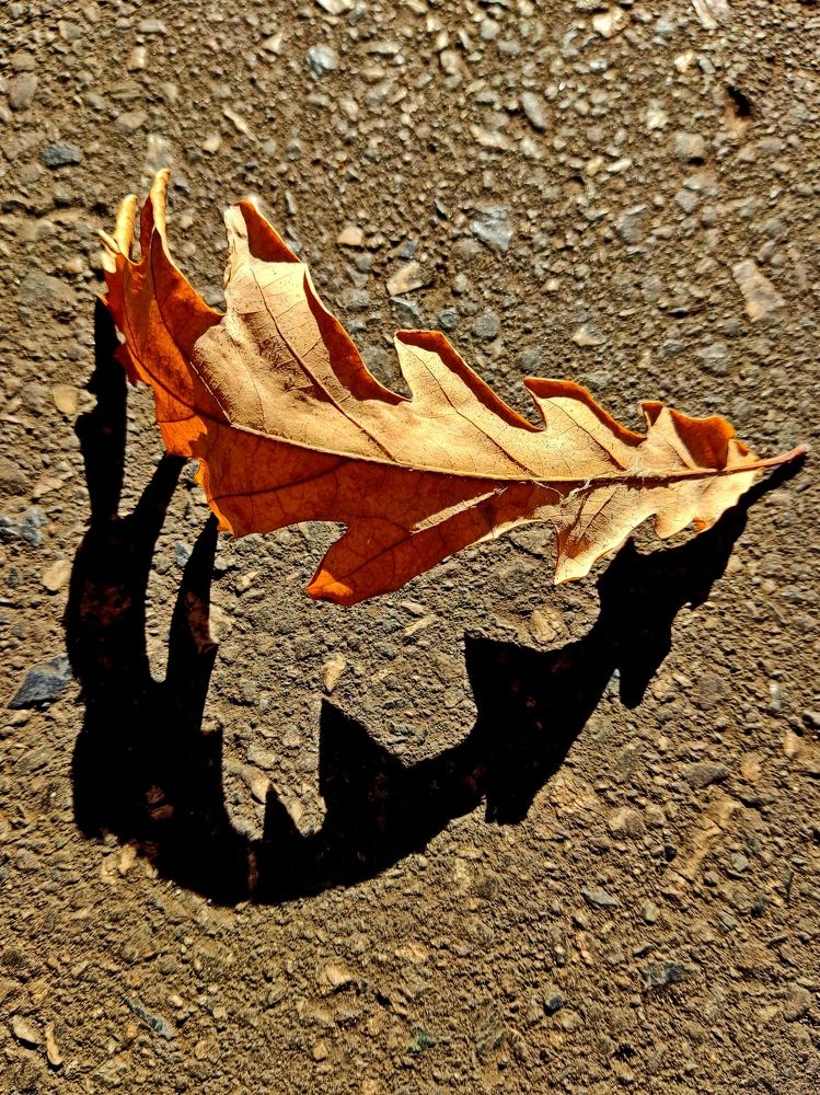 Photograph by Григорий Иванов