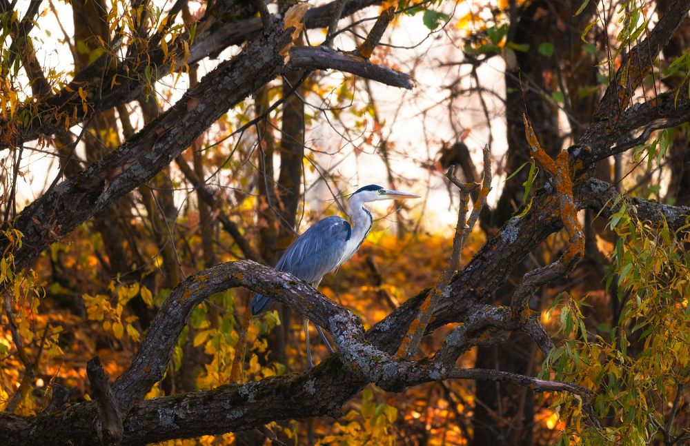 Photograph by Андрей Олонцев
