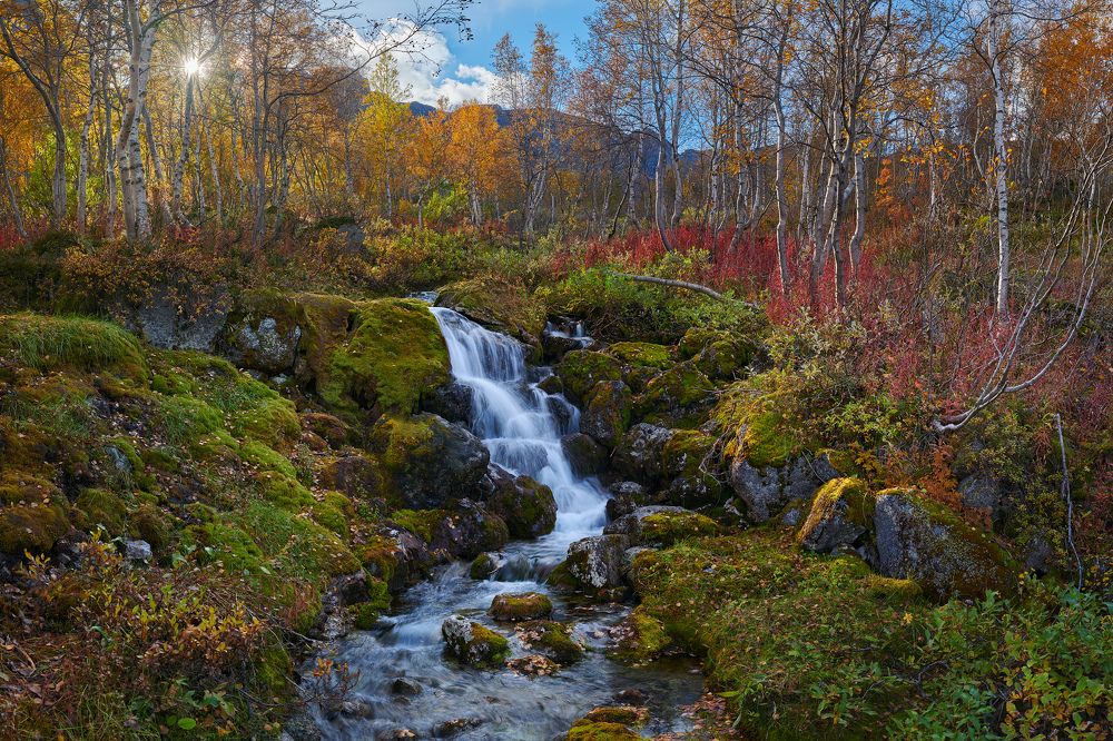 Photograph by Konstantin Voronov