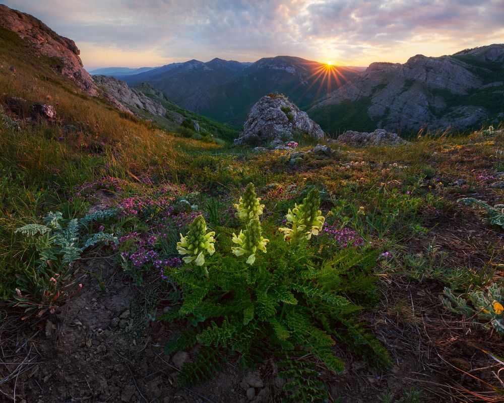 Photograph by Konstantin Voronov