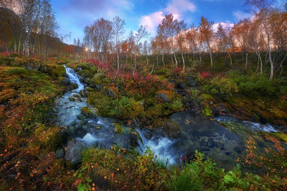 Photograph by Konstantin Voronov