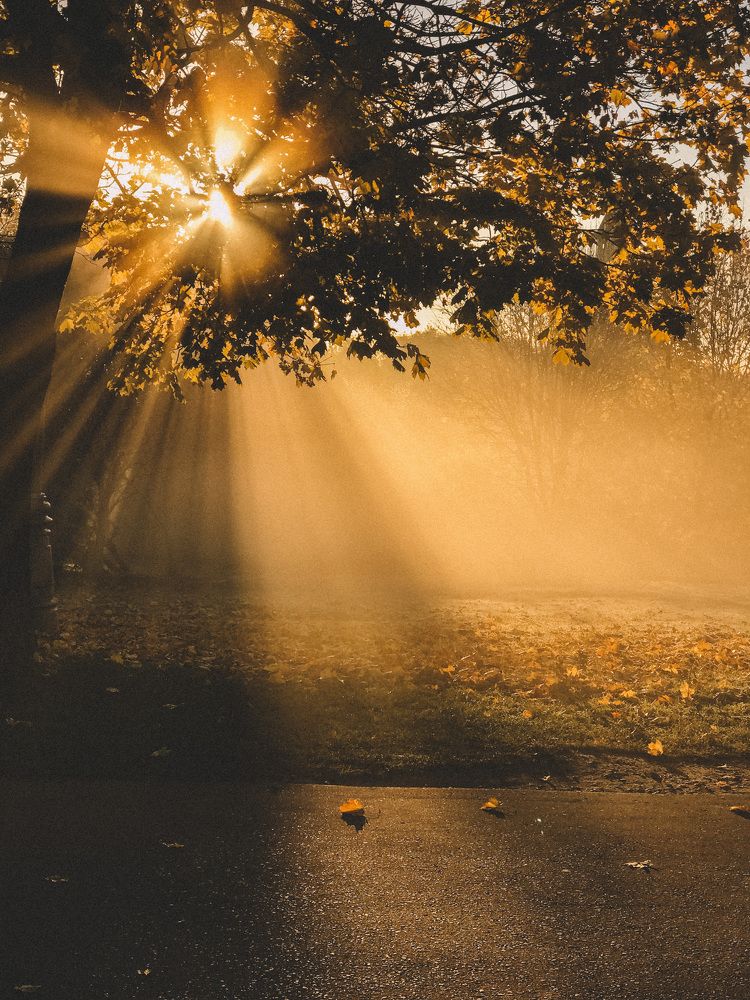 Photograph by Татьяна Дубовицкая