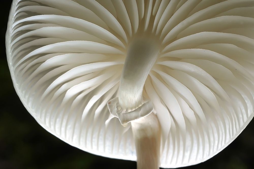 Photograph by Сергей Прокофьев