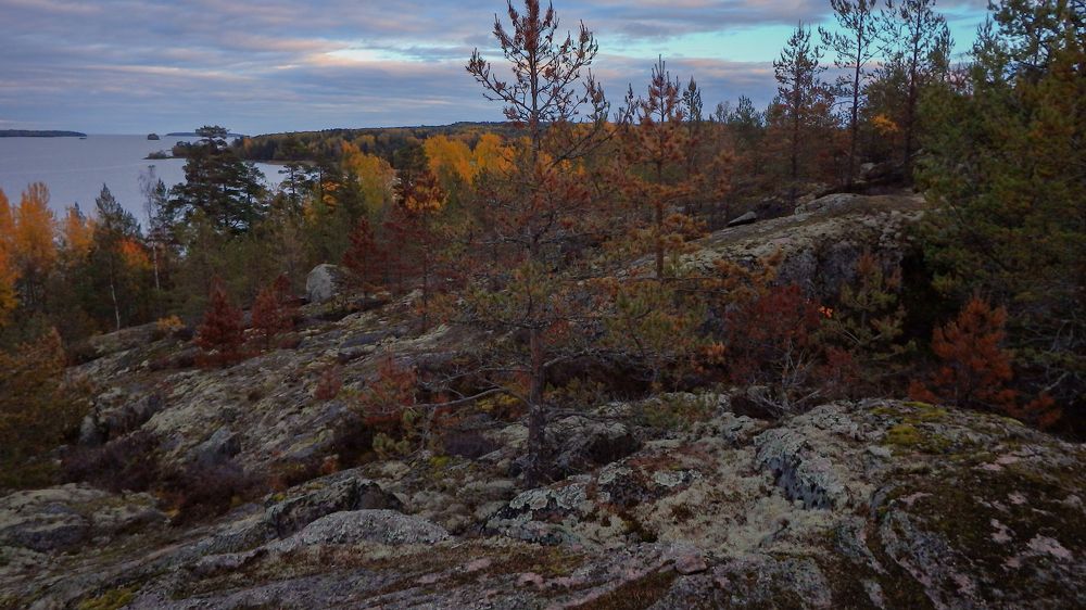 Фотография автора Boris Yakovlev