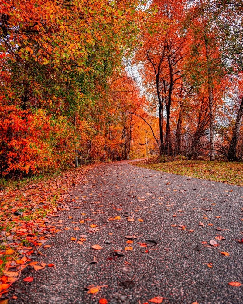 Photograph by Vladimir Narajevski