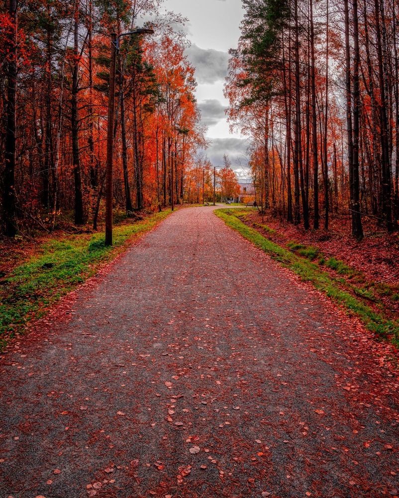 Photograph by Vladimir Narajevski