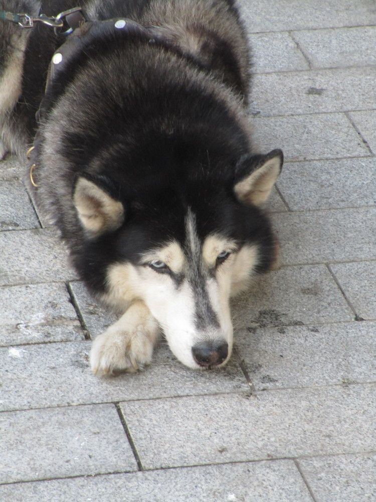 Photo #6594830