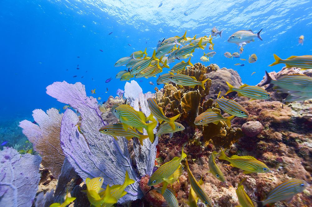 Photograph by Павел Карчевский