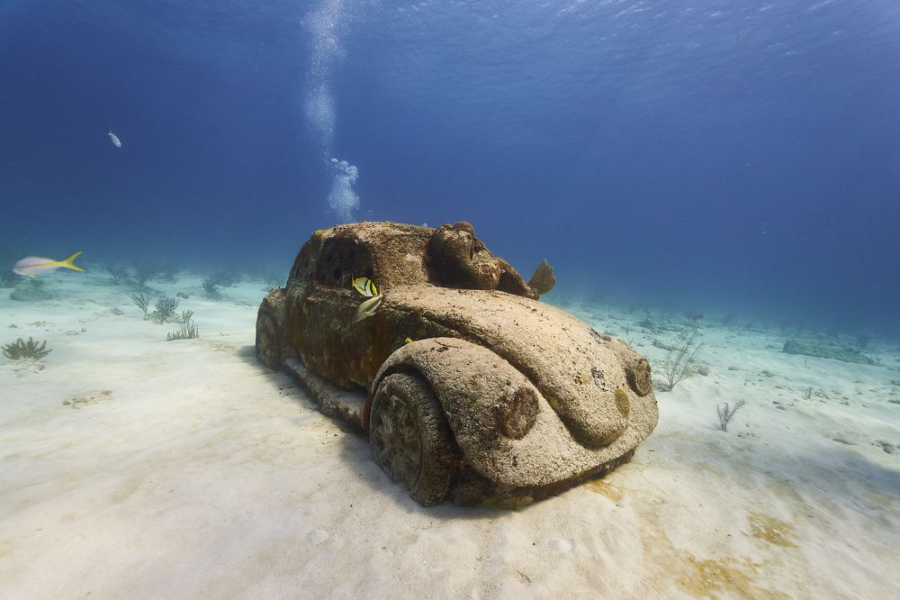 Photograph by Павел Карчевский