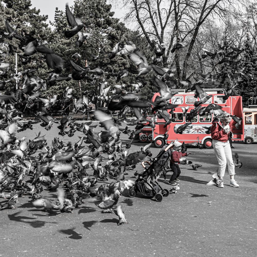 Photograph by Константин Панькин