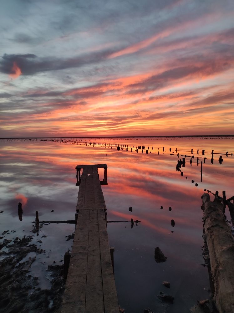 Photograph by Юлия Рыбас