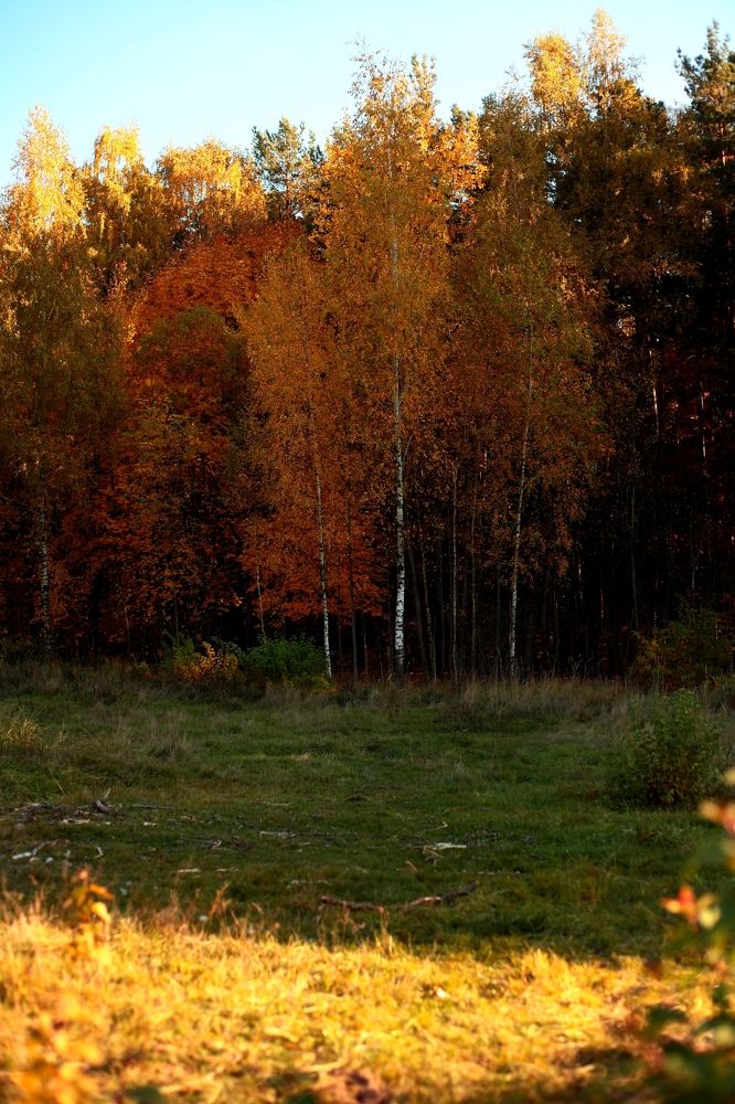 Photograph by Milla Luca