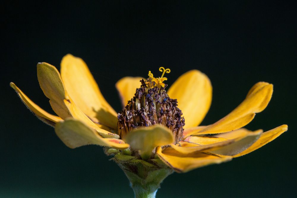 Photograph by Марина Ватанская