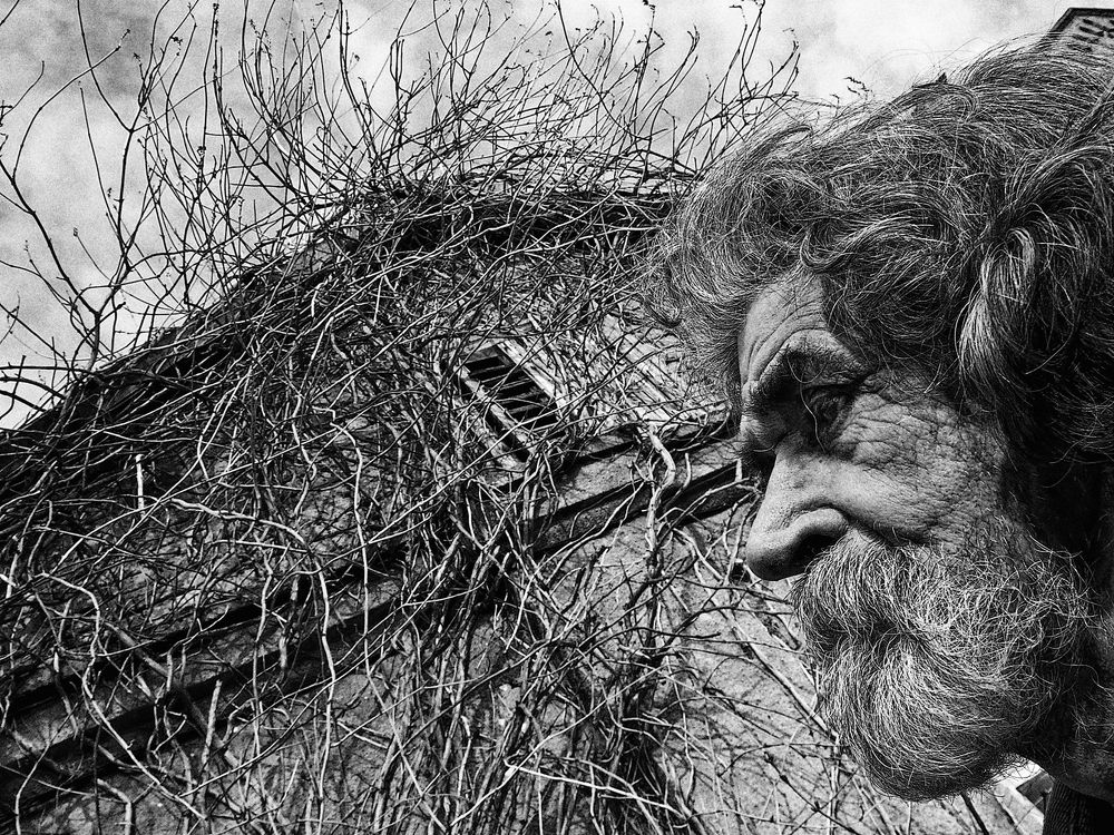 Photograph by Дмитрий Фисенко