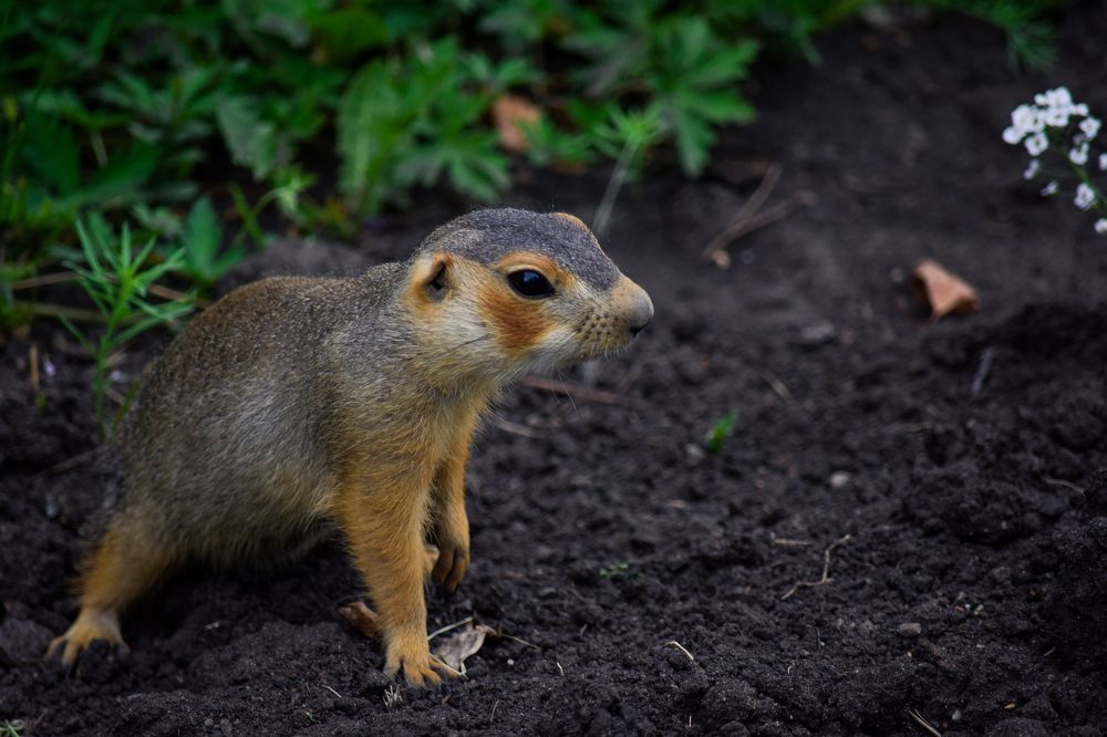 Фотография автора Катрин Евстратова