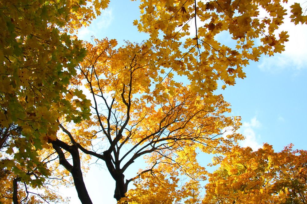 Photograph by Антон Корольков