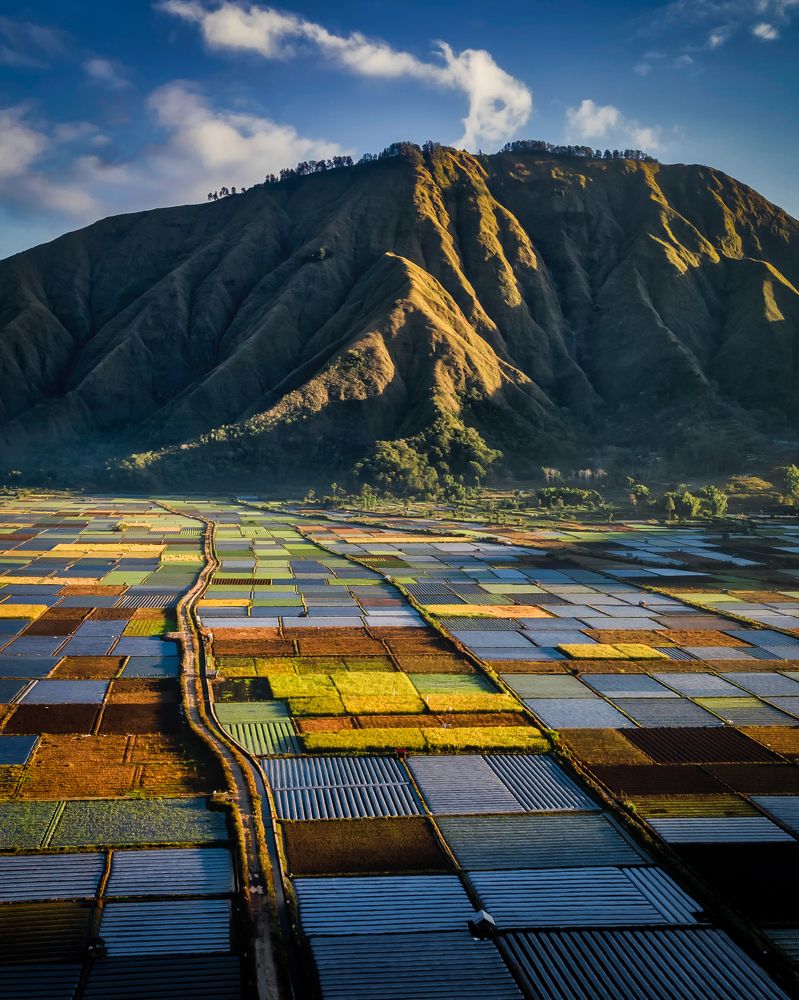 Фотография автора Ayip Samira