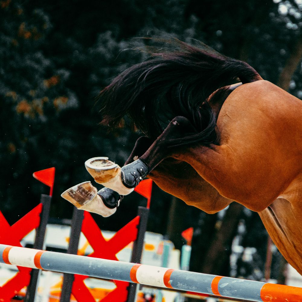 Photograph by Регина Сова