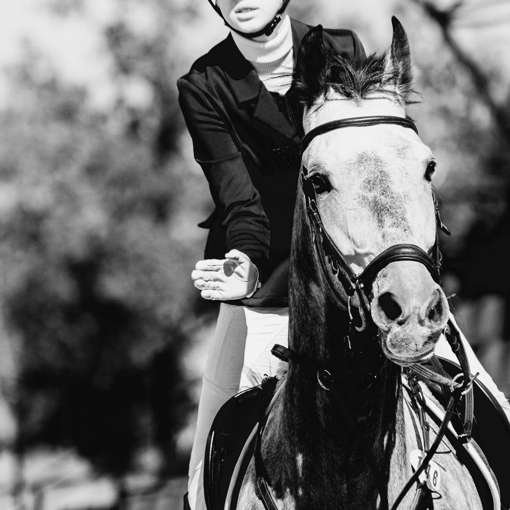 Photograph by Регина Сова