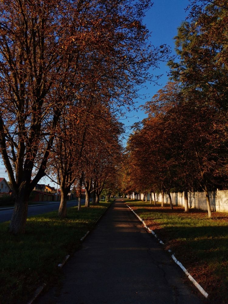 Фотография автора Valeryia Shkoda