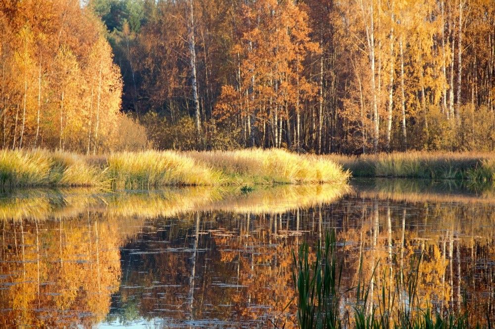 Photograph by Леонид Маркеев