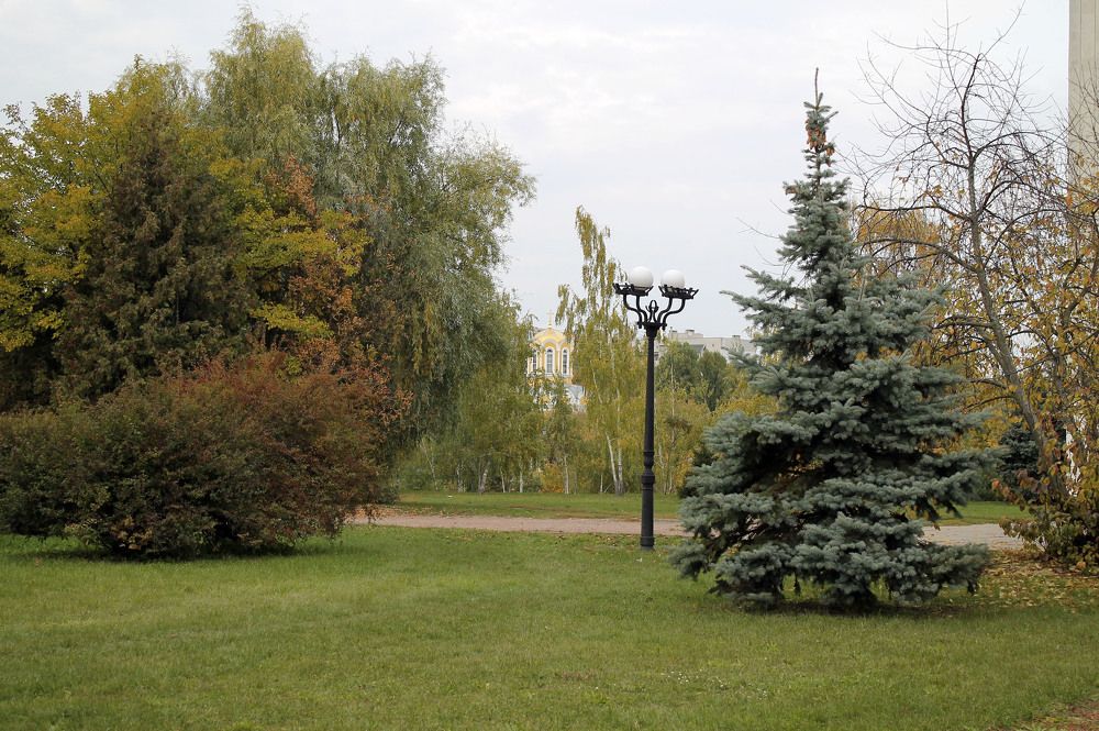 Фотография автора Елена Шатило