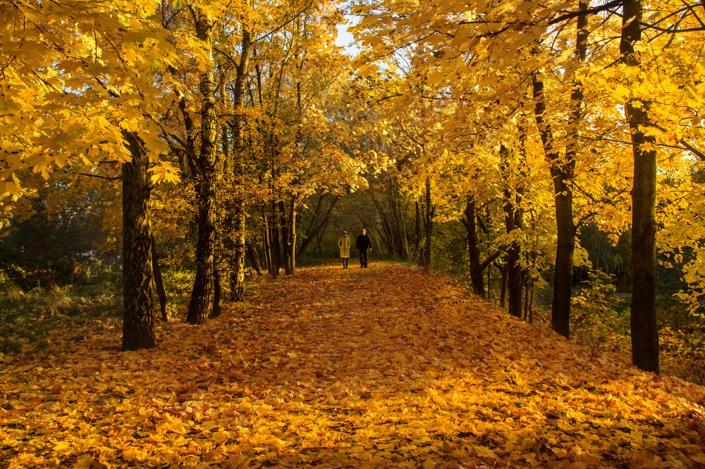 Photograph by Михаил Строев