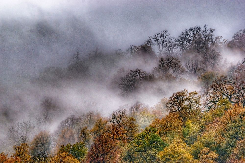 Photograph by Vahid Yavari