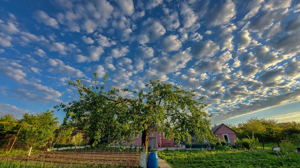 Photograph by Валентина Михайлова
