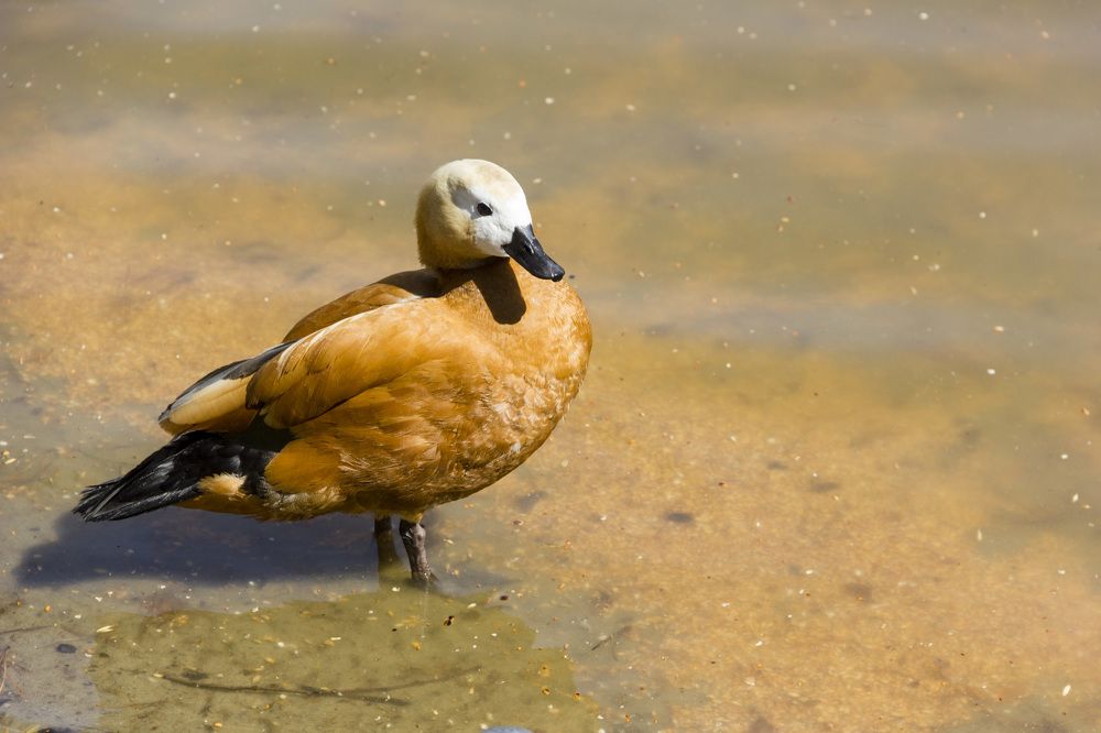 Photograph by Anna Gapanovich