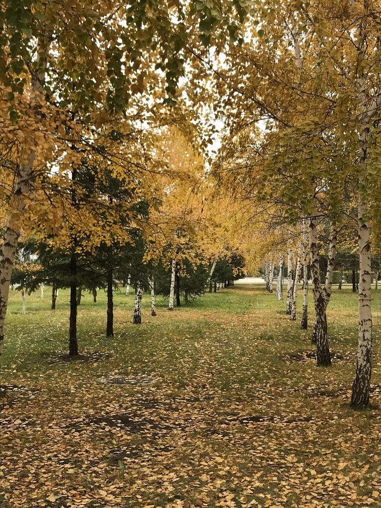 Photograph by Анар Амирова