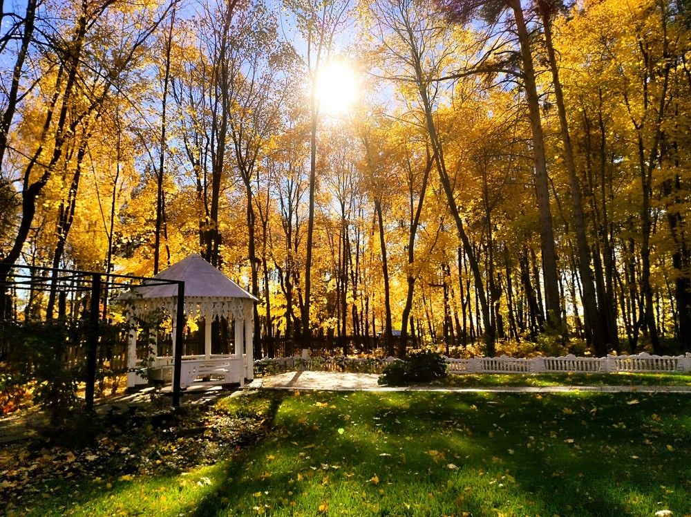 Photograph by Ирина Саттарова