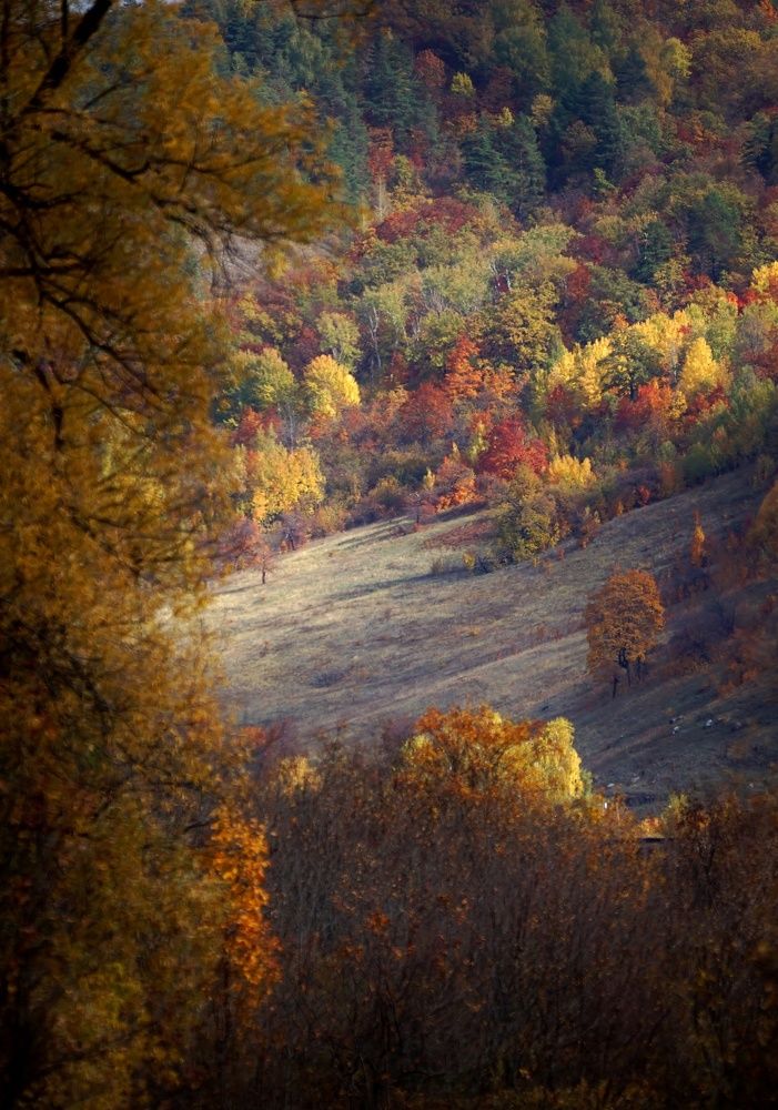 Photograph by Александр Попов