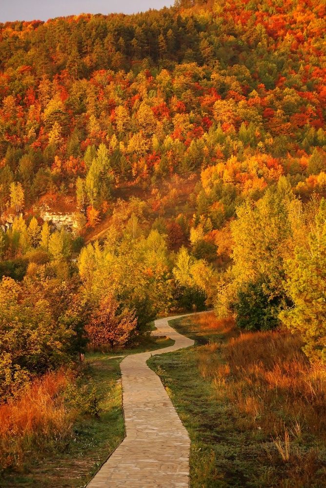 Photograph by Александр Попов