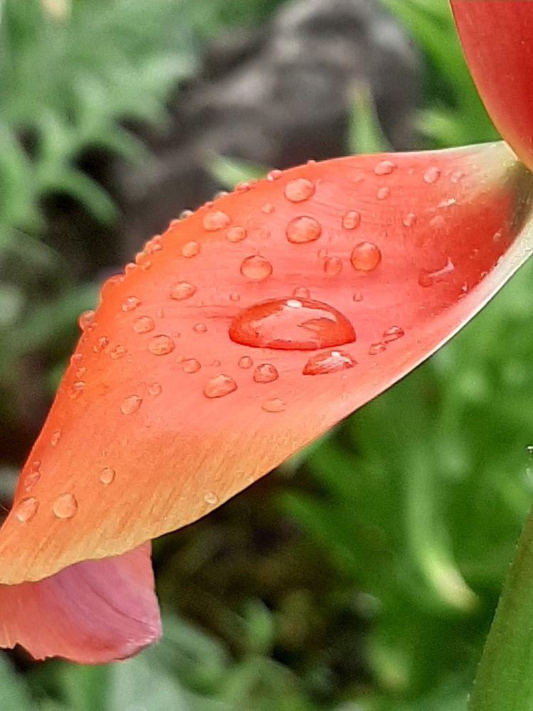 Photograph by Наталия