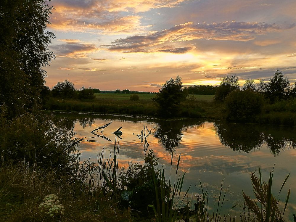 Фотография автора Елена Савельева