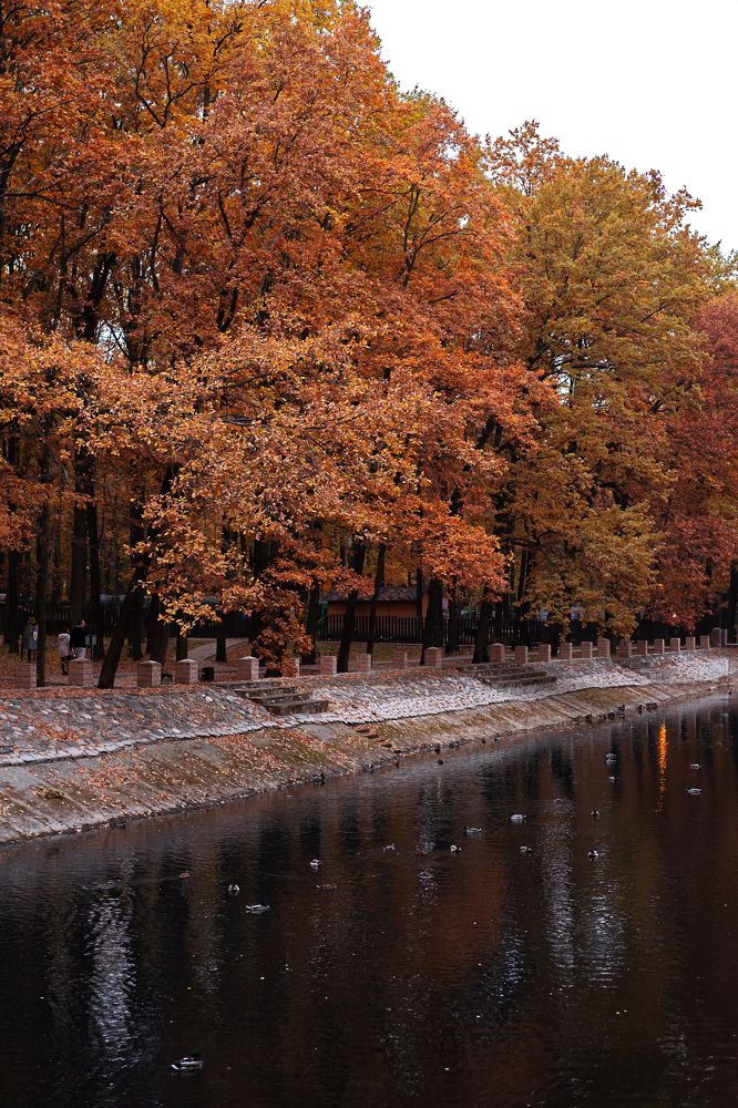 Photograph by Мария Каськова