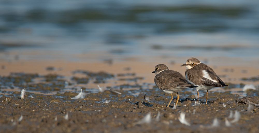 Photograph by MOUHCINE AJDI