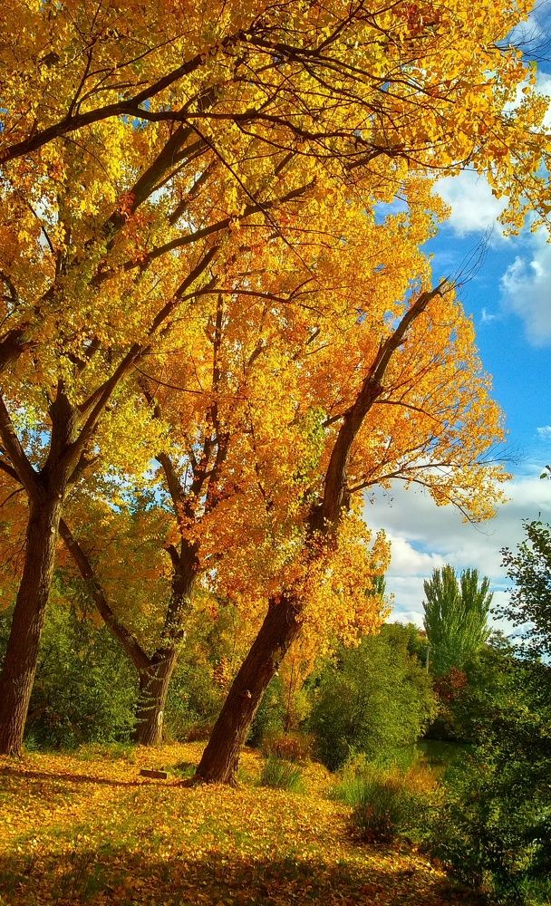 Фотография автора Алексей Головатый