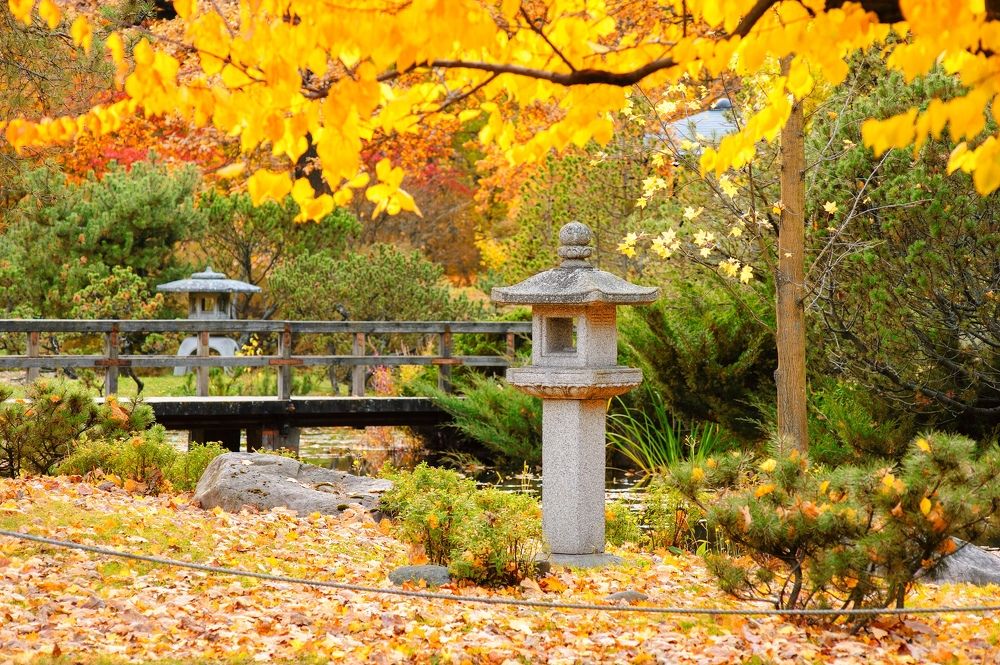 Photograph by Alexander Coin