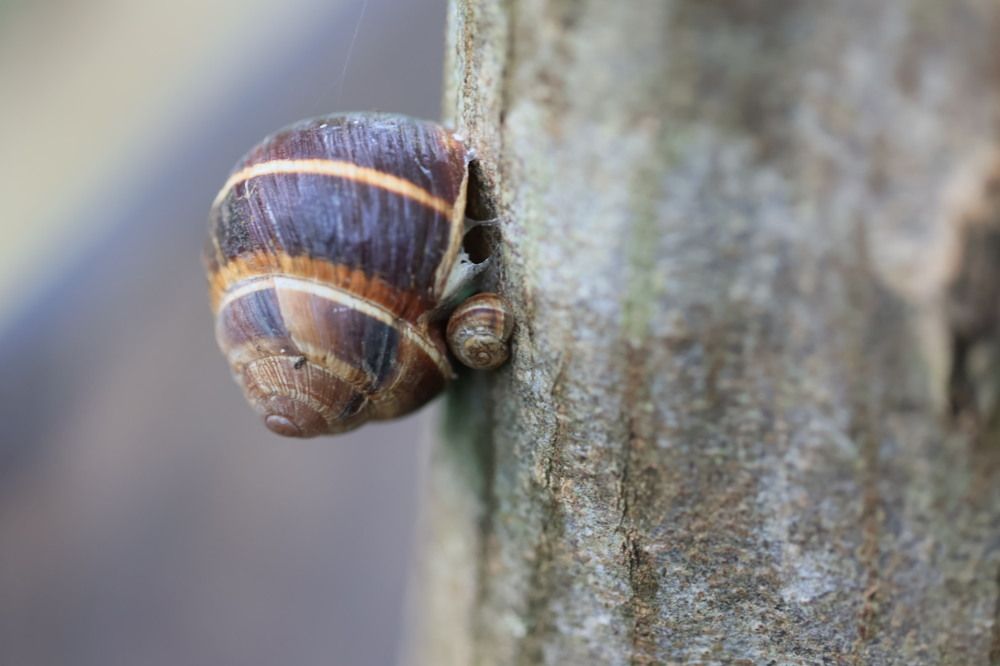 Photograph by Ольга Одаренко