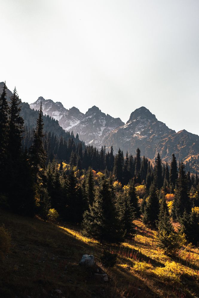 Photograph by Ainura