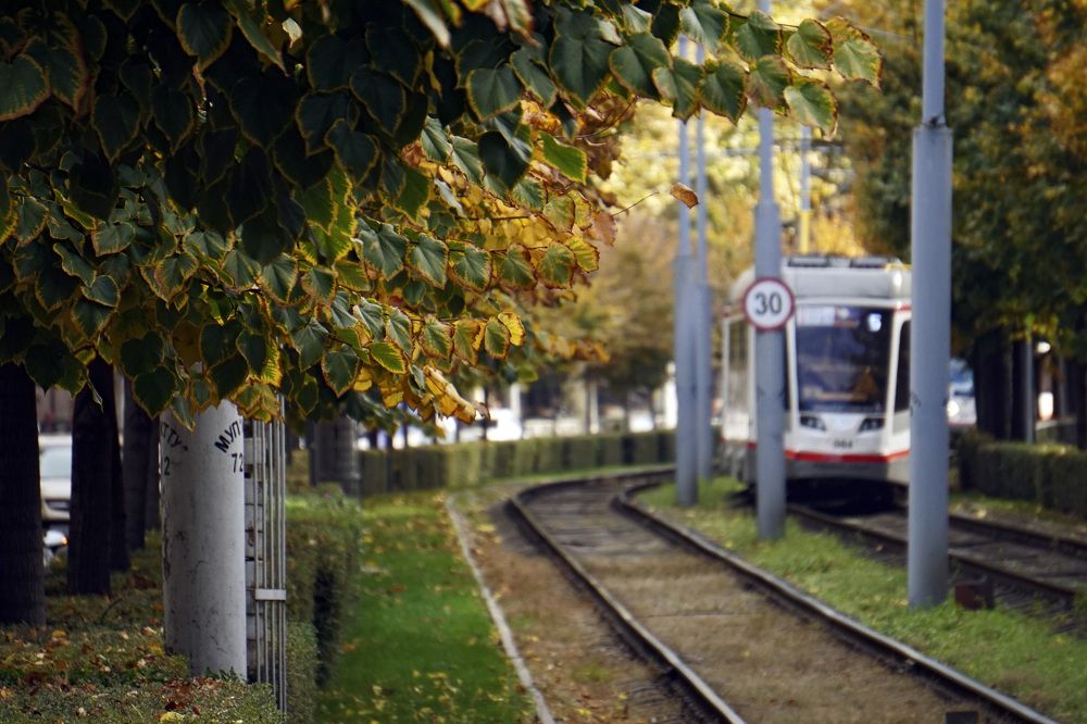 Photograph by Дмитрий Лобанов