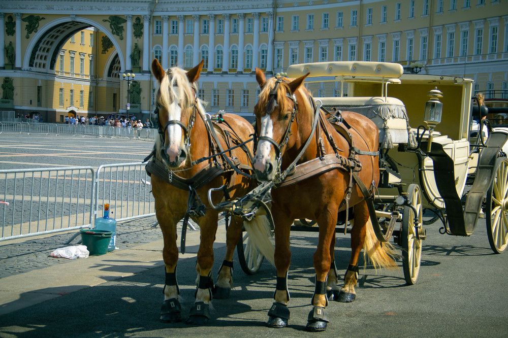 Photograph by Герман Штерн