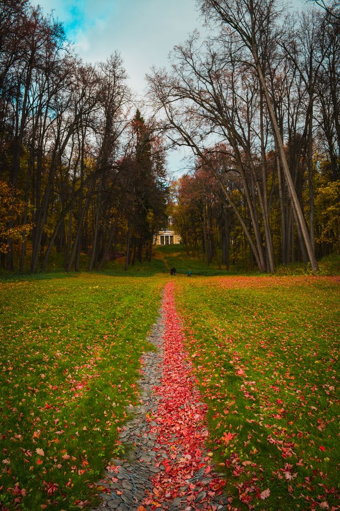 Photograph by Наталья Яновская